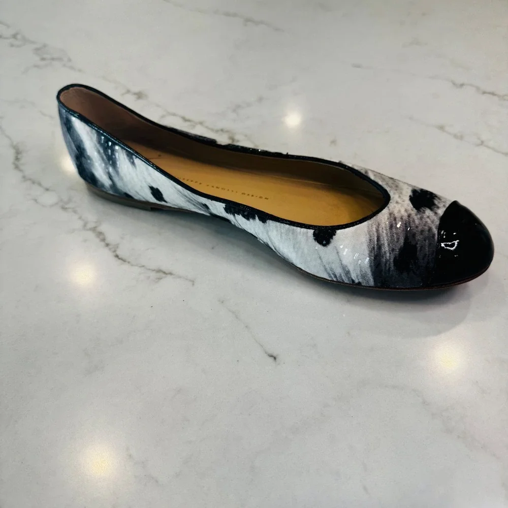 Giuseppe Zanotti giuseppe zanotti